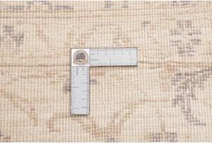 Tappeto Zigler Fine Floreale Avorio Beige 245x305 Cm