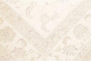 Tappeto Zigler Fine Floreale Avorio Beige 247x302 Cm
