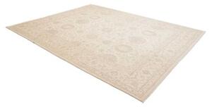 Tappeto Zigler Fine Floreale Avorio Beige 245x305 Cm