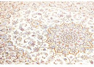 Tappeto Ghom Seta Medaglione Floreale Avorio Blu 99x150 Cm