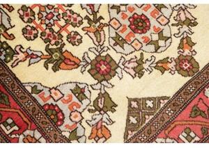 Tappeto Hamadan Stilizzato Avorio Rosso Corsia 100x368 Cm