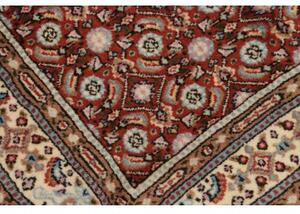 Tappeto Moud Stilizzato Rosso Mattone Bianco Avorio 60x89 Cm