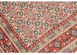 Tappeto Moud Stilizzato Avorio Rosso Mattone Corsia 76x235 Cm