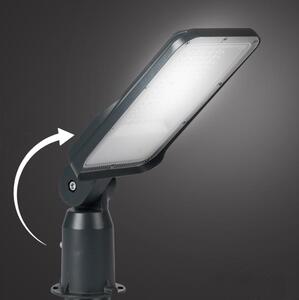 Brilagi - Lampione stradale LED per esterni con snodo. URBANLIGHT LED/50W/230V antracite IP65