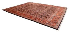 Tappeto Kashamr Zirkhaki Stilizzato Rosso Blu Scuro 295x380 Cm