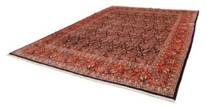 Tappeto Kashamr Zirkhaki Stilizzato Rosso Blu Scuro 295x380 Cm