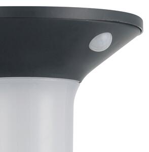 Eglo 900243 - Lampada solare da esterno a LED con sensore 6xLED/0,03W/3,7V IP44