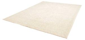 Tappeto Zigler Extra Fine Floreale Avorio Azzurro 248x293 Cm