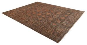 Tappeto Zigler Fine Floreale Marrone Terracotta 247x307 Cm
