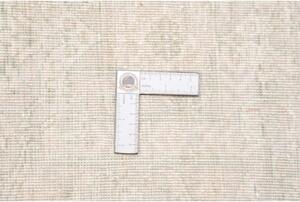Tappeto Zigler Extra Fine Floreale Avorio Grigio Chiaro 244x284 Cm