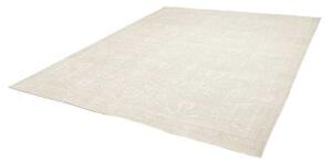 Tappeto Zigler Extra Fine Floreale Avorio Grigio Chiaro 244x284 Cm
