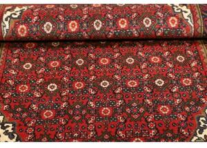 Tappeto Hamadan Stilizzato Rosso Blu Scuro 103x159 Cm
