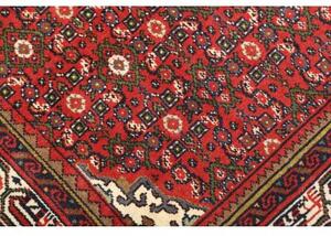 Tappeto Hamadan Stilizzato Rosso Blu Scuro 103x159 Cm