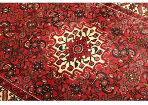 Tappeto Hamadan Stilizzato Rosso Avorio 102x147 Cm