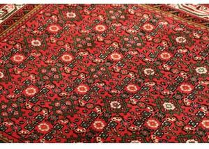 Tappeto Hamadan Stilizzato Rosso Verde Scuro 102x145 Cm