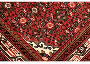 Tappeto Hamadan Stilizzato Rosso Verde Scuro 102x145 Cm