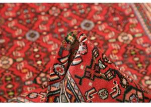 Tappeto Hamadan Stilizzato Rosso Blu 101x160 Cm