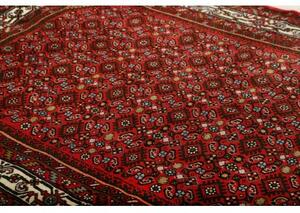Tappeto Hamadan Stilizzato Rosso Avorio 150x198 Cm