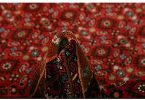 Tappeto Hamadan Stilizzato Rosso Avorio 150x198 Cm