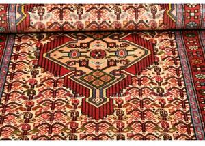 Tappeto Hamadan Stilizzato Rosso Mattone Beige 77x132 Cm