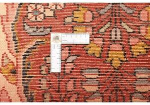 Tappeto Hamadan Stilizzato Rosso Mattone Avorio 72x138 Cm