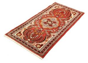 Tappeto Hamadan Stilizzato Rosso Mattone Avorio 72x138 Cm