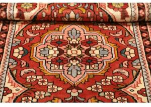 Tappeto Hamadan Stilizzato Rosso Mattone Avorio 72x138 Cm
