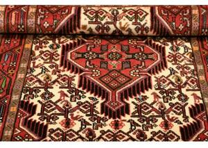 Tappeto Hamadan Stilizzato Rosso Mattone Avorio 77x125 Cm