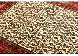 Tappeto Hamadan Stilizzato Avorio Rosso 104x148 Cm