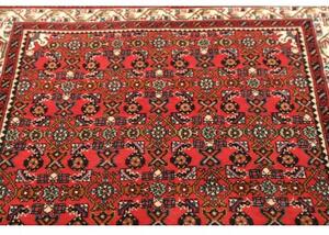Tappeto Hamadan Stilizzato Rosso Blu Scuro 101x150 Cm