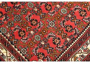 Tappeto Hamadan Stilizzato Rosso Blu Scuro 101x150 Cm
