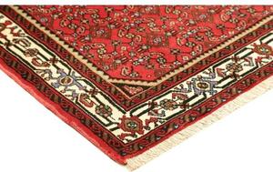 Tappeto Hamadan Stilizzato Rosso Avorio 112x141 Cm