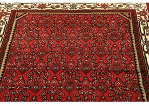 Tappeto Hamadan Stilizzato Rosso Avorio 112x141 Cm