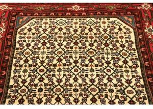 Tappeto Hamadan Stilizzato Avorio Rosso 104x148 Cm