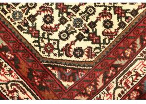 Tappeto Hamadan Stilizzato Avorio Rosso 100x145 Cm