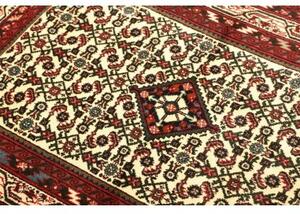 Tappeto Hamadan Stilizzato Avorio Rosso 100x145 Cm