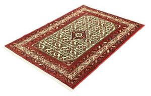 Tappeto Hamadan Stilizzato Avorio Rosso 100x145 Cm