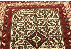 Tappeto Hamadan Stilizzato Avorio Rosso 100x145 Cm