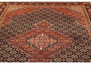 Tappeto Ardabil Stilizzato Rosso Blu Scuro 195x275 Cm