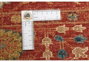 Tappeto Zigler Fine Stilizzato Rosso Ruggine Azzurro 80x114 Cm