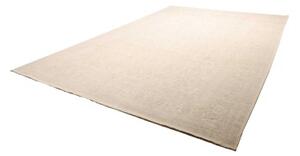 Tappeto Zigler Fine Floreale Avorio Grigio Chiaro 290x412 Cm