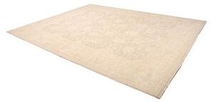 Tappeto Zigler Fine Floreale Avorio Tortora 270x356 Cm
