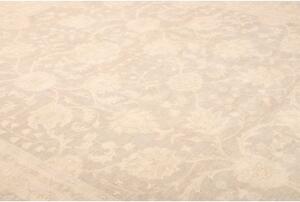 Tappeto Zigler Fine Floreale Avorio Tortora 270x356 Cm