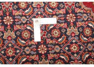 Tappeto Moud Stilizzato Rosso Scuro Blu Polvere 225x320 Cm