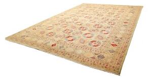 Tappeto Zigler Stilizzato Verde Salvia Rosso Mattone 300x428 Cm