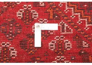 Tappeto Shiraz Stilizzato Rosso Blu Scuro 213x303 Cm