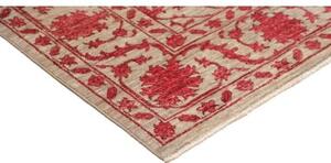 Tappeto Zigler Fine Floreale Beige Rosso 173x239 Cm