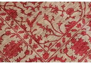 Tappeto Zigler Fine Floreale Beige Rosso 173x239 Cm