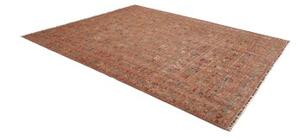 Tappeto Istintia Figurativo Ruggine Multicolore 249x312 Cm