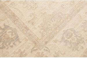 Tappeto Zigler Fine Floreale Avorio Beige 304x424 Cm